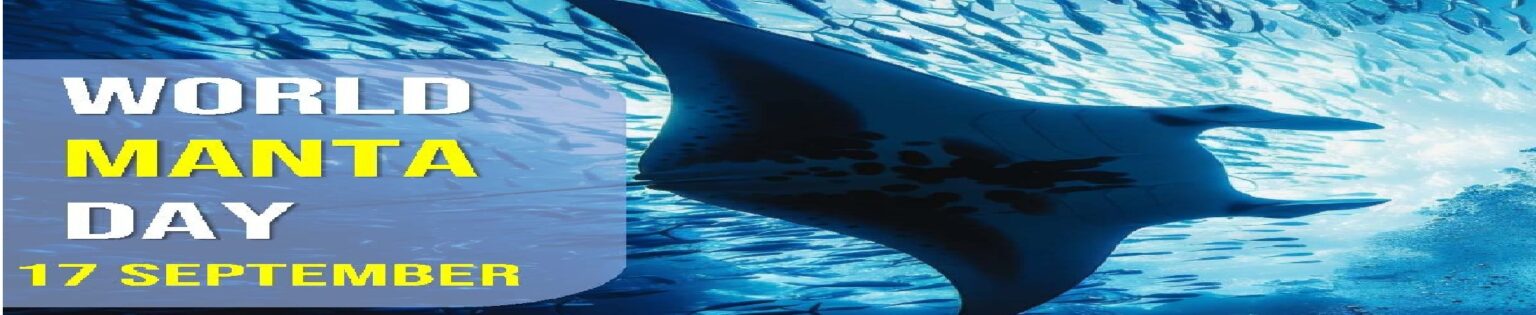 World Manta Day | SEAFDEC/TD : Southeast Asian Fisheries Development ...