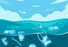 More Than Plastic: Chemical Additives and Their Impacts on Marine Life