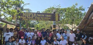 Study on the Ballpen Squid from the Lift Net Supply Chain in Calauit Island, Busuanga, Palawan, Philippines