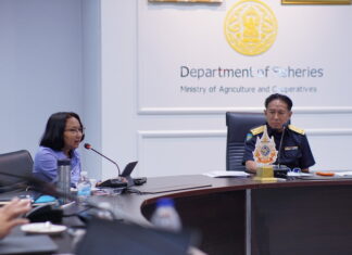 SEAFDEC/TD and DOF Thailand Convened the 2nd Consultation Meeting on the Collaborative Program with the Government of Thailand