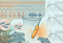 High-Frequency Acoustic Transmitter Technology to Mitigate Impacts of Fishing Gear on Marine Mammals