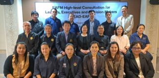 EAFM High-level Consultation for Leaders, Executives, and Decision-makers (LEAD-EAFM)