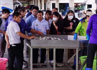 SEAFDEC/TD Strengthens Regional Capacity on Responsible Fishing Technologies to Combat IUU Fishing