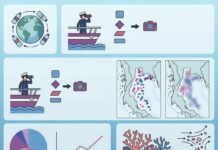 Spatial distribution and composition of floating marine debris in the Gulf of Thailand