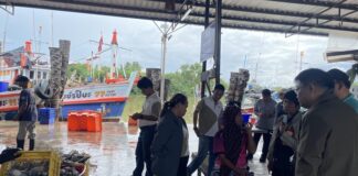 SEAFDEC Explores Opportunities to Improve Market Access for Small-Scale Fishers in Thailand