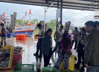 SEAFDEC Explores Opportunities to Improve Market Access for Small-Scale Fishers in Thailand